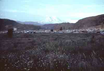 Buffalo Party Convention